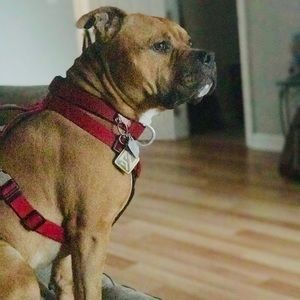 Meet your Posher, Jayson